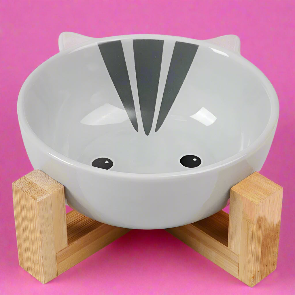 pet food dispenser
 Raised Ceramic Dog Bowl – No-Spill Cartoon Pet Dish