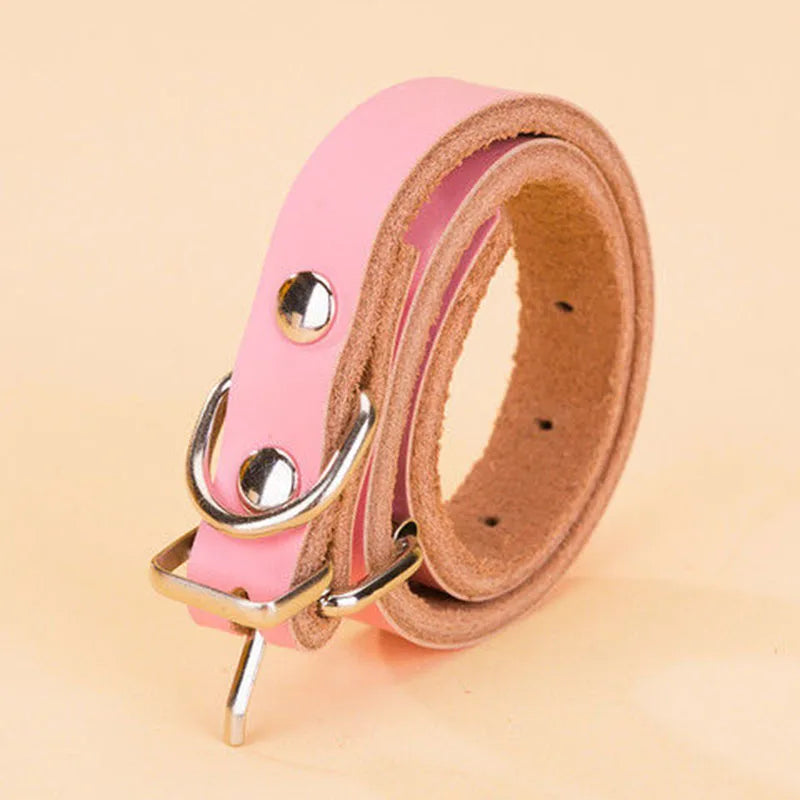 pet leash Adjustable Genuine Leather Dog Collar