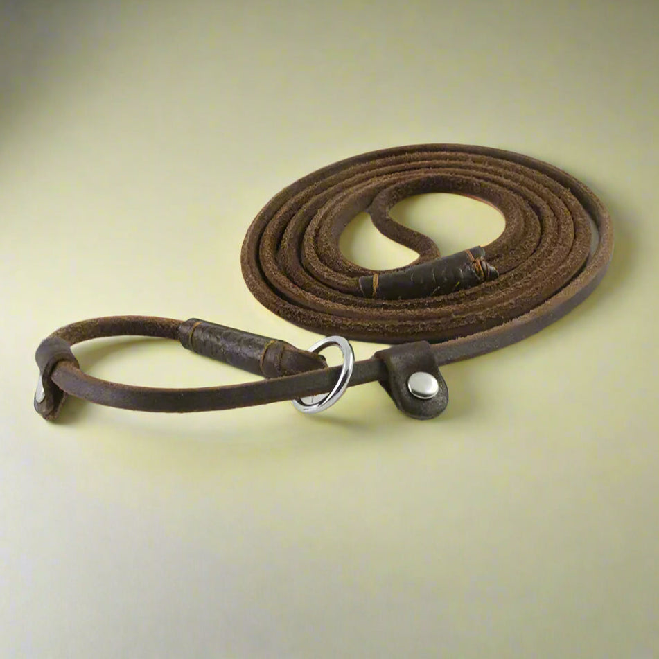 pet leash Genuine Leather Slip Leash for Small Dogs