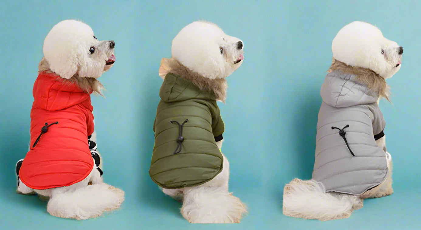 pet shop Warm Padded Winter Dog Coat
