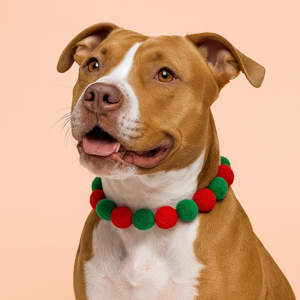 plush ball cat and dog collar