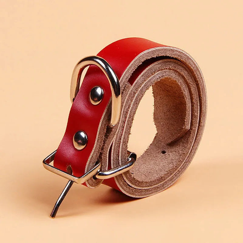 premium dog leash Adjustable Genuine Leather Dog Collar