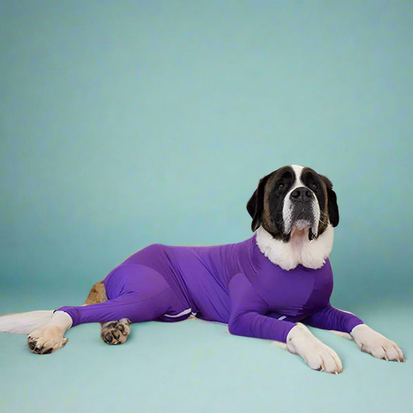 puppy clothes
 Anxiety-Calming Dog Jumpsuit Onesie