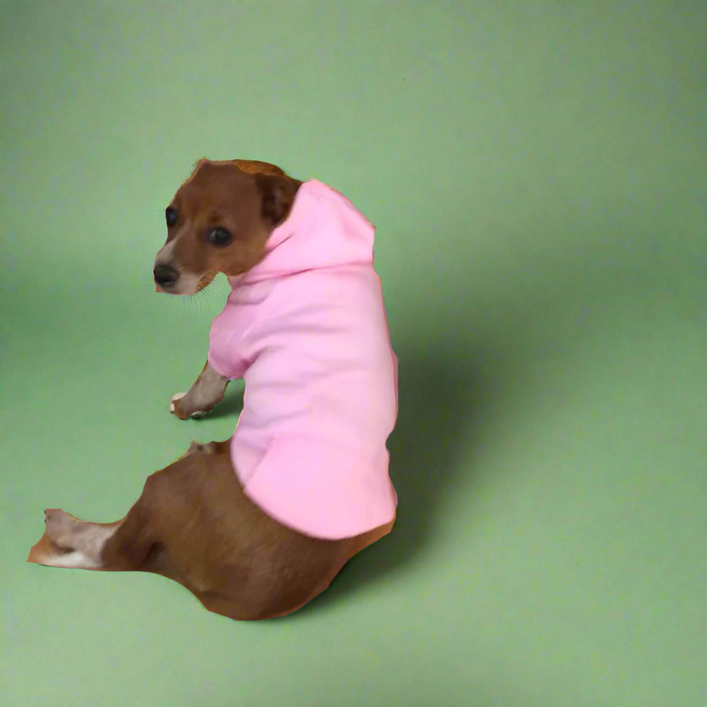 puppy clothes
 Cozy Dog Sweater for Winter Walks