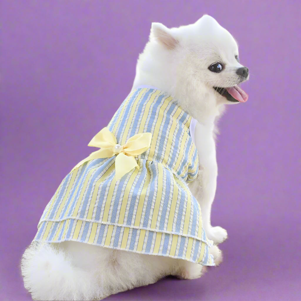 puppy clothes
 Summer Dog Dress for Small Pets