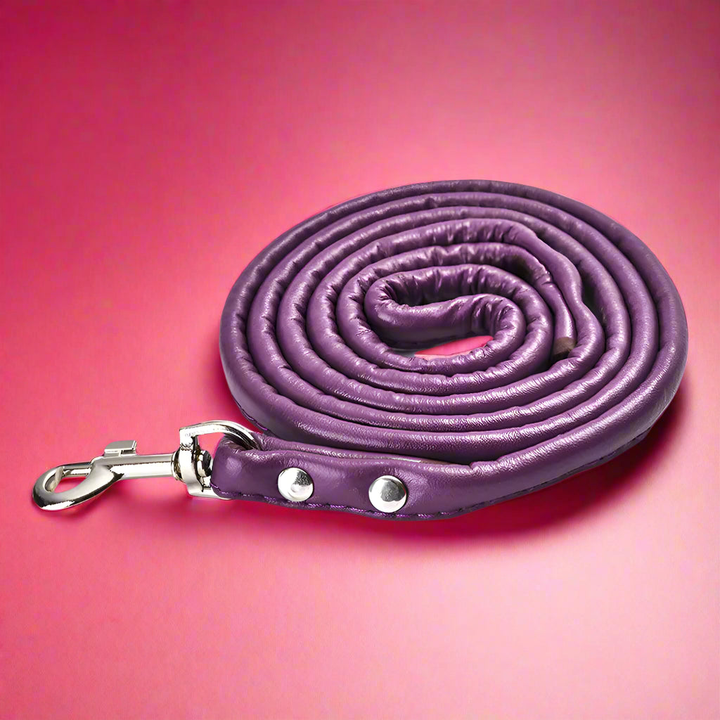 purple Colorful PU Rolled Dog Leash for Small Breeds