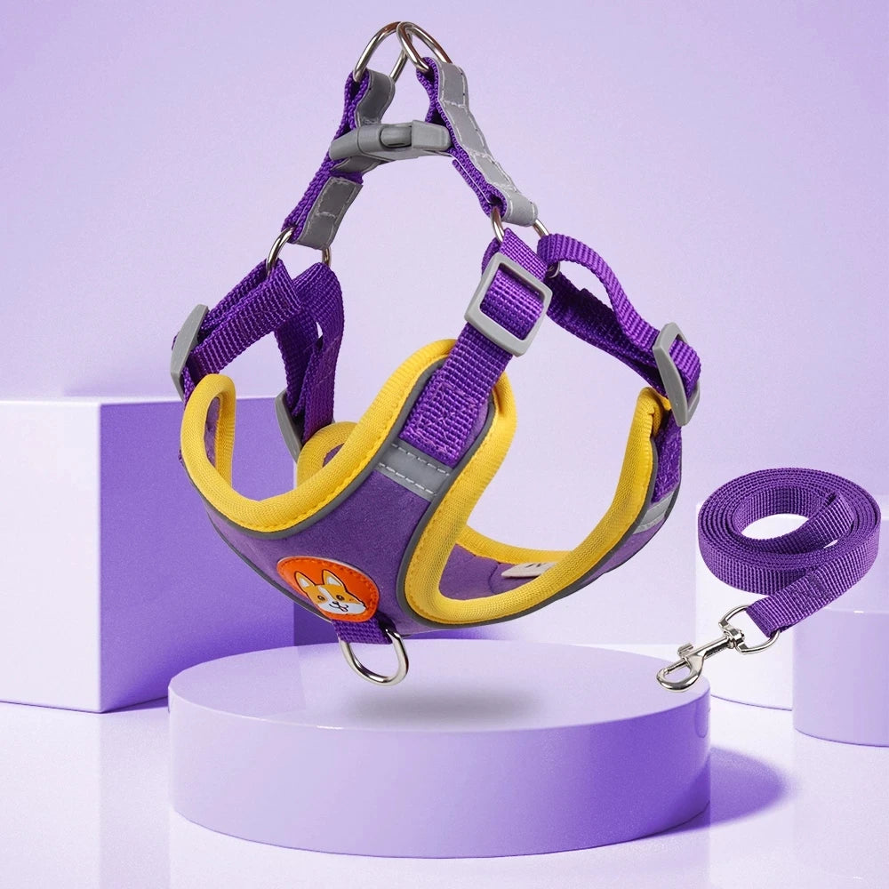 purple Reflective Step-In Dog Harness & Leash Set