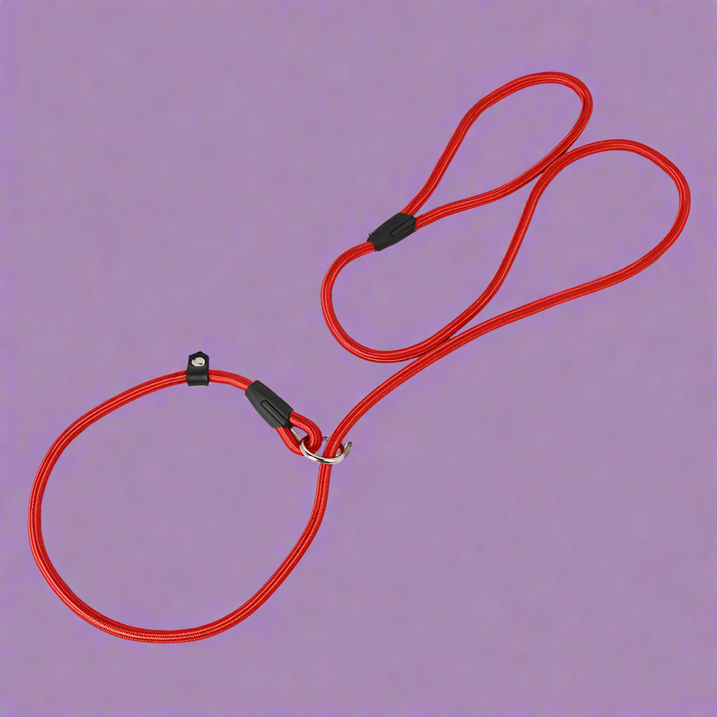 red Nylon Dog Slip Lead Rope for Puppies