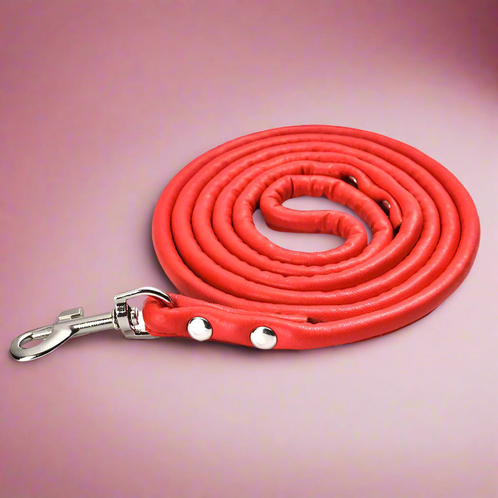 red Colorful PU Rolled Dog Leash for Small Breeds