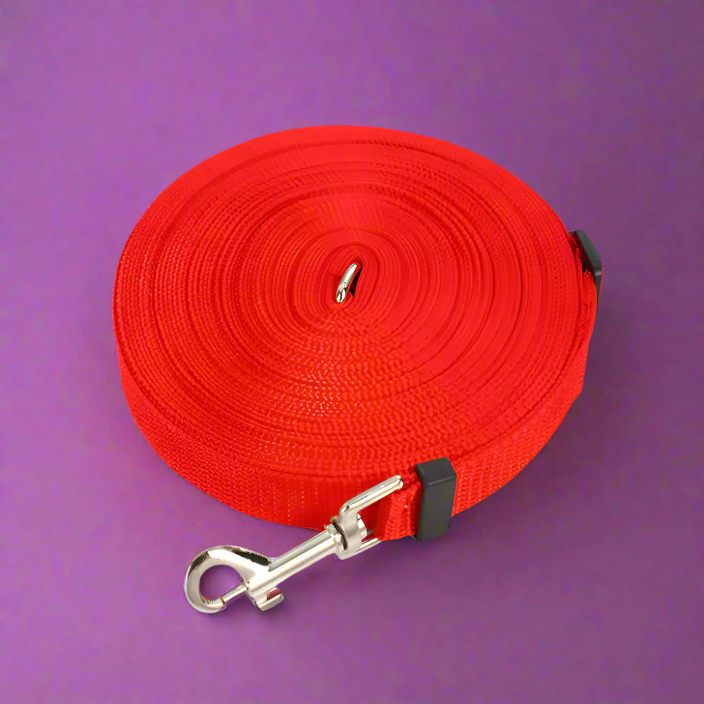 red Durable Long Leash for Dog Training