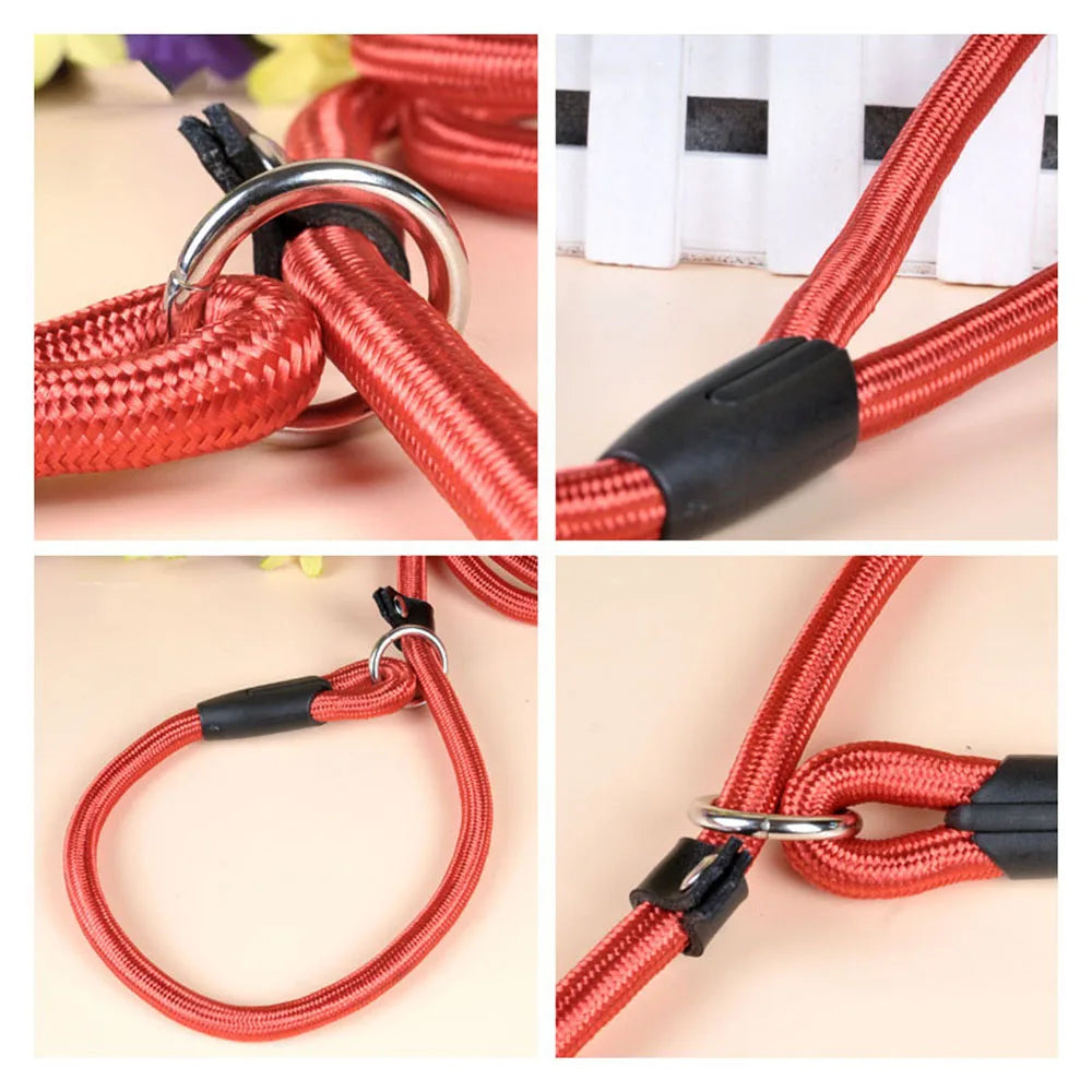 red Nylon Dog Slip Lead Rope for Puppies