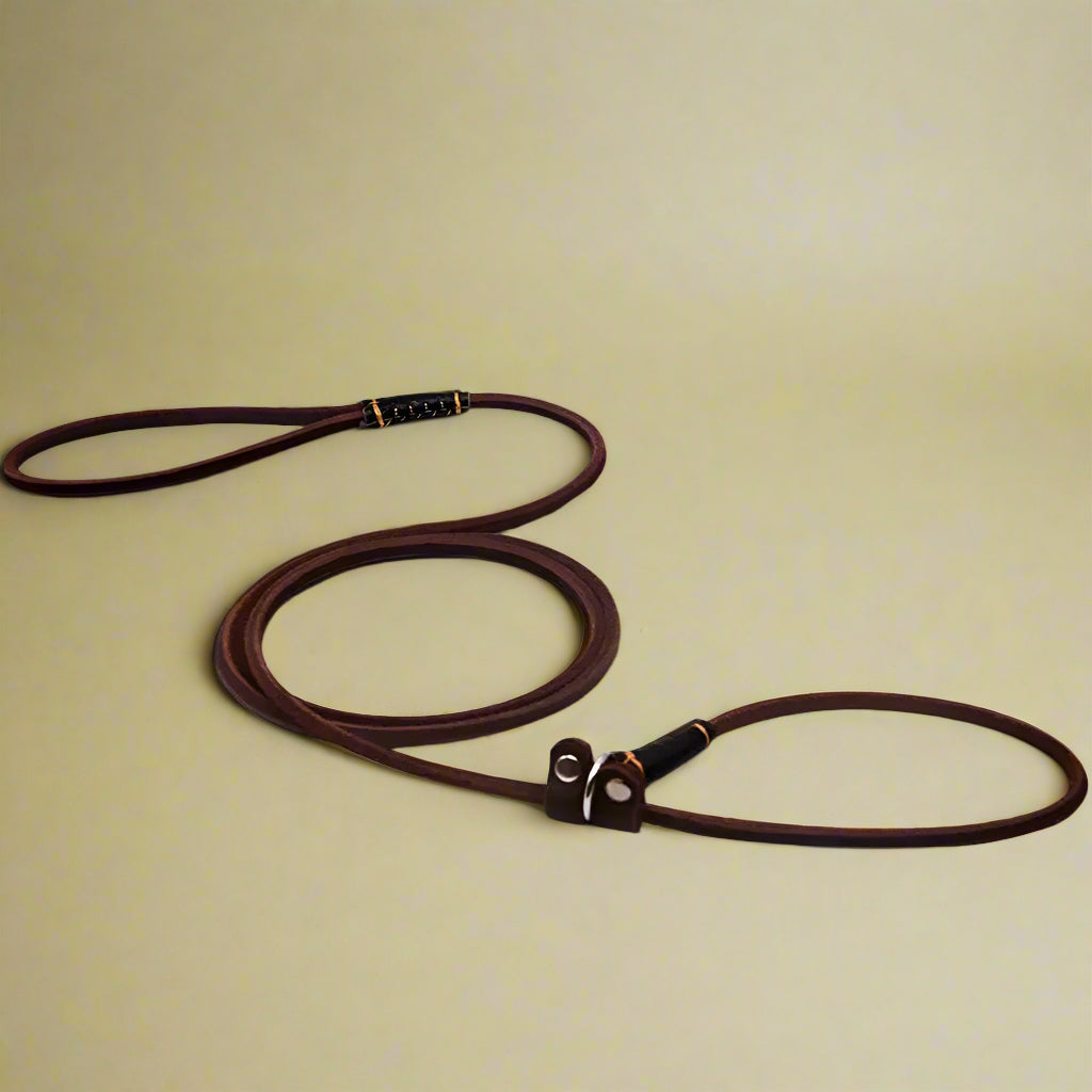 safe walking leash
 Genuine Leather Slip Leash for Small Dogs