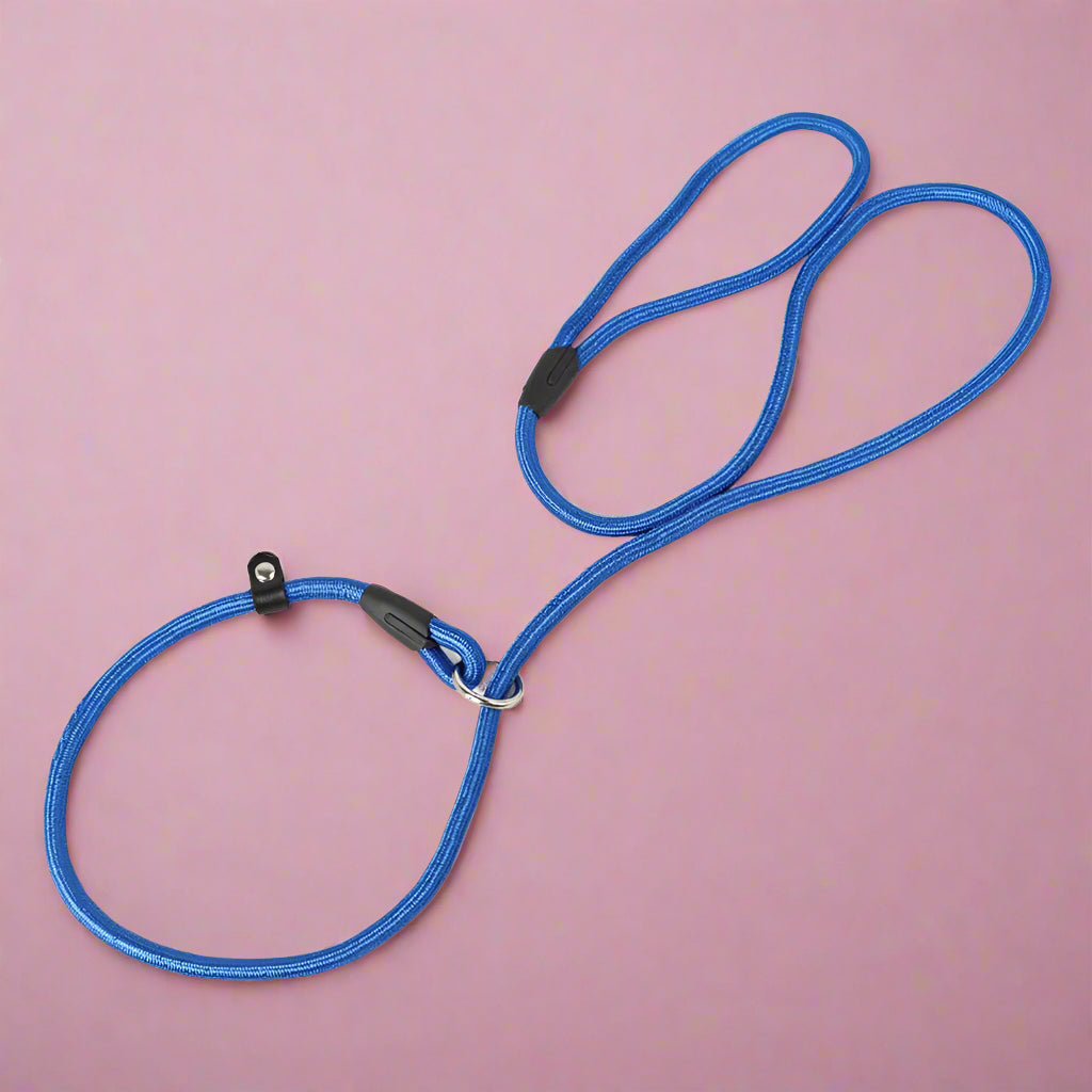 safe walking leash
 Nylon Dog Slip Lead Rope for Puppies