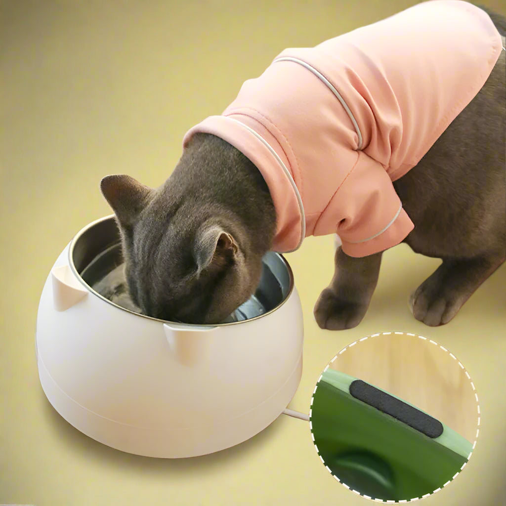 slow feed pet 
 Tilted Pet Bowl Non-Slip Raised Cat Dog Feeder
