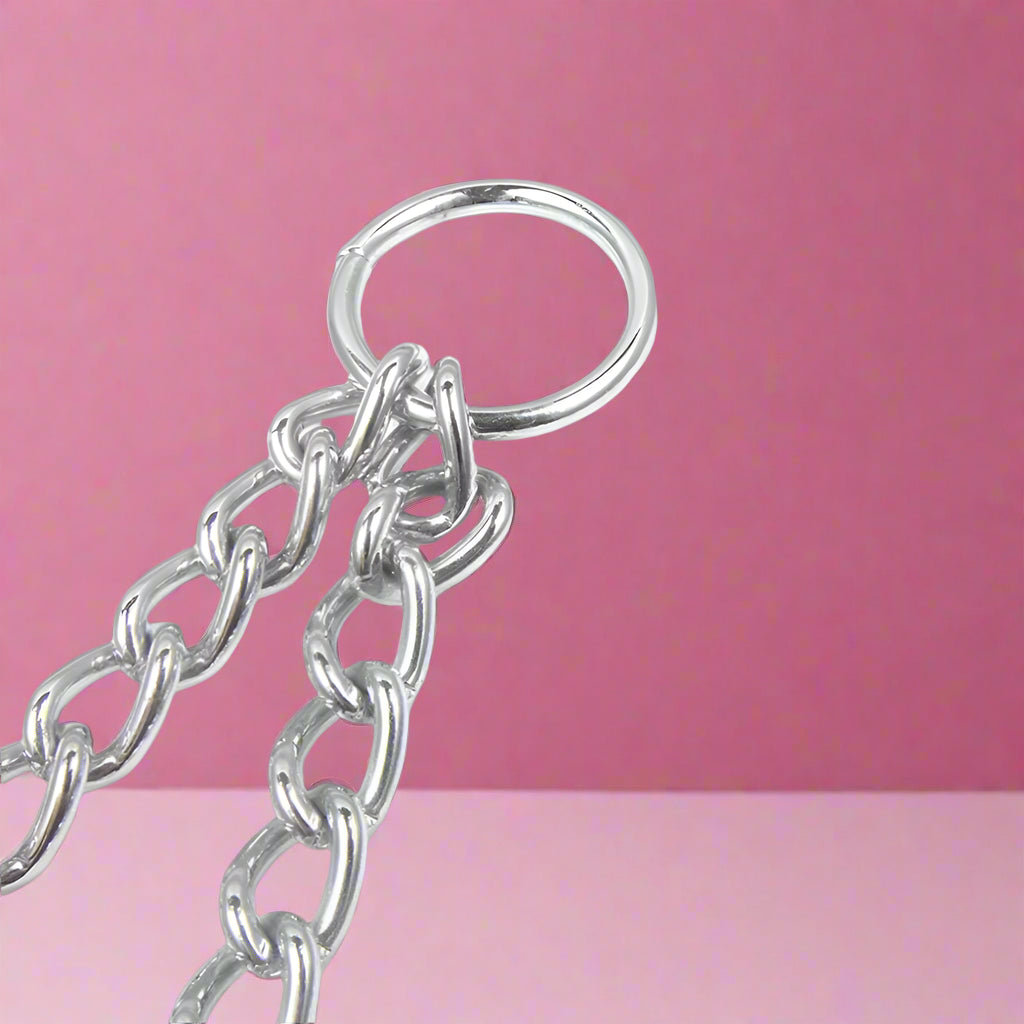 two pet metal Leash Splitter  for dogs