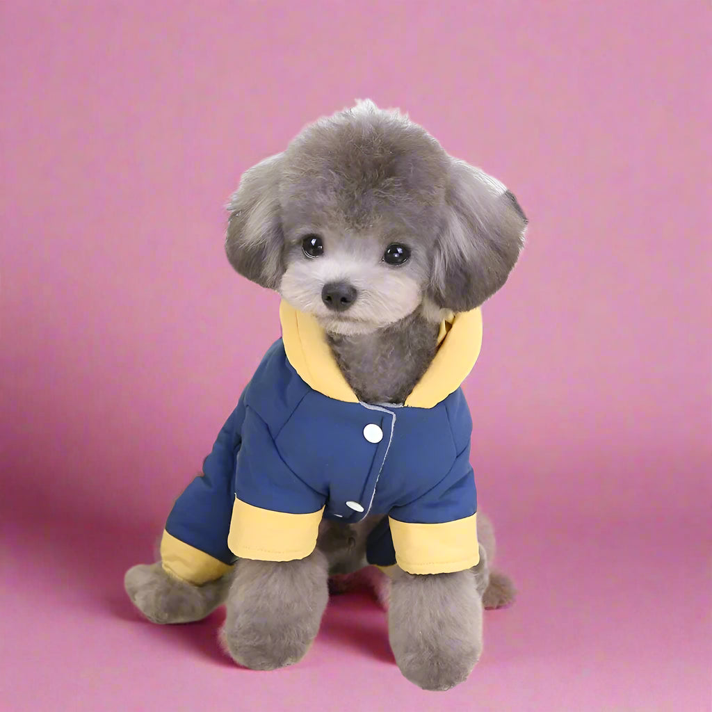 warm winter coats for pets  Small Dog Padded Winter Snowsuit