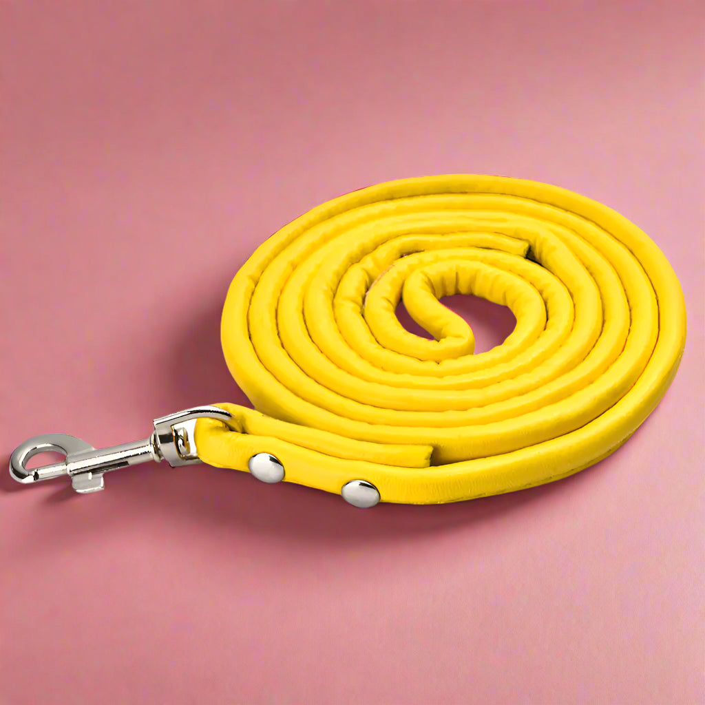 yellow Colorful PU Rolled Dog Leash for Small Breeds