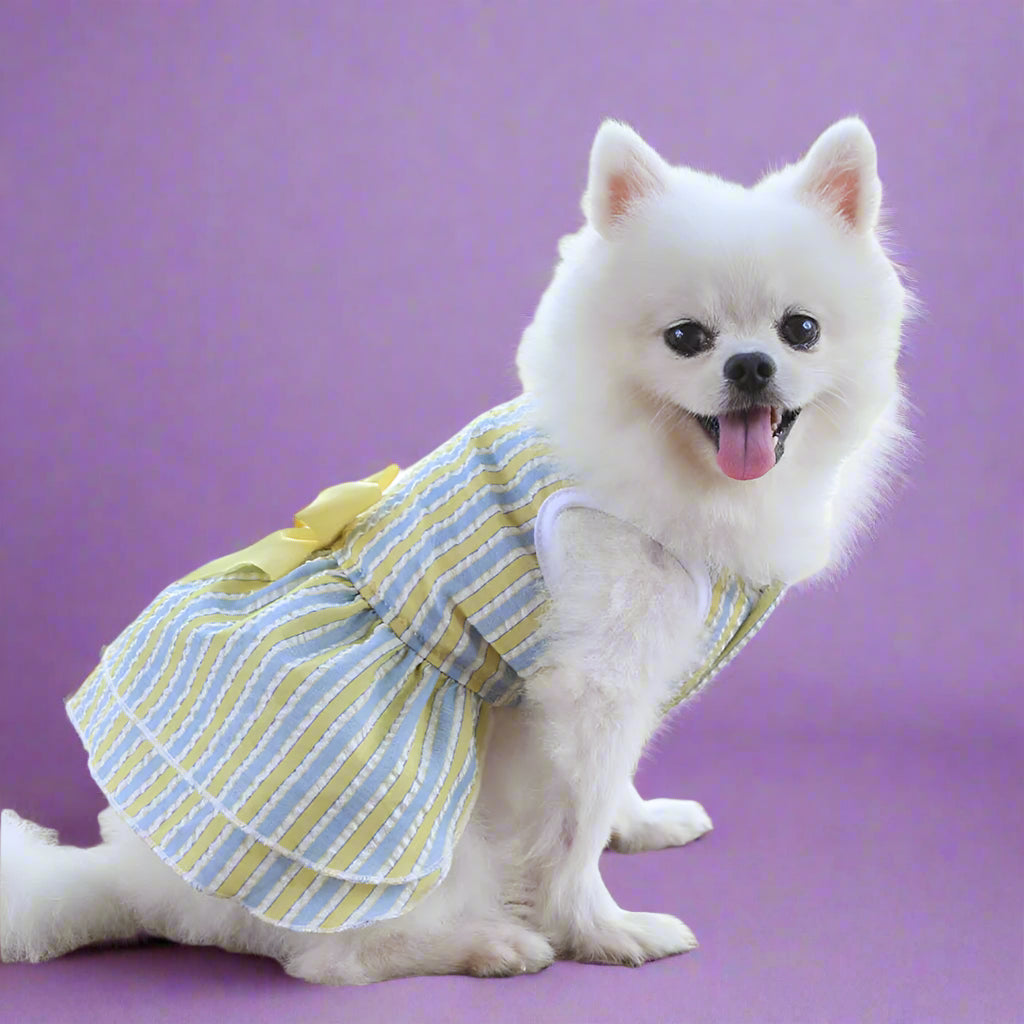 yellow Summer Dog Dress for Small Pets